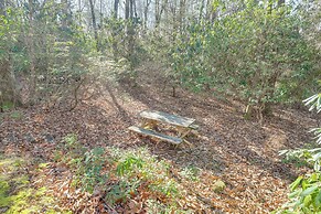 Dog-friendly Burnsville Cabin Rental Near Hiking!