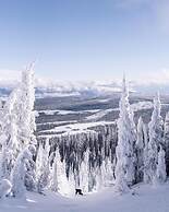 Echo Landing #20 3 Bedroom Townhouse