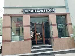 Ambrosia by Zenith