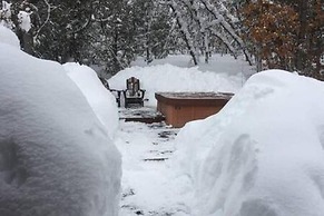 Country Sunshine Bed and Breakfast