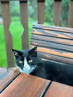 Country Sunshine Bed and Breakfast