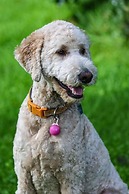 Country Sunshine Bed and Breakfast