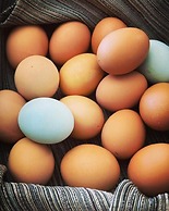 Country Sunshine Bed and Breakfast