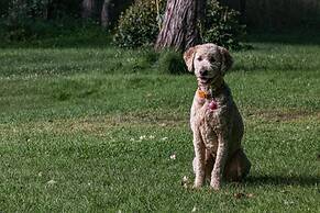 Country Sunshine Bed and Breakfast