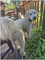 Country Sunshine Bed and Breakfast