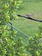 Ellakanda Nature Villa
