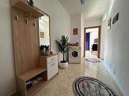 Amazing Paradise Sensation