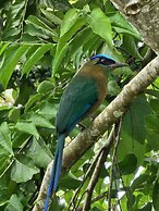 Macho Mora Mountain Lodge