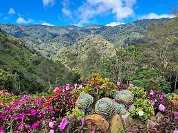 Macho Mora Mountain Lodge