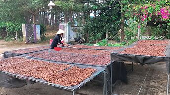 Midori Coffee Farm