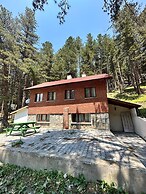 Doceia Otel