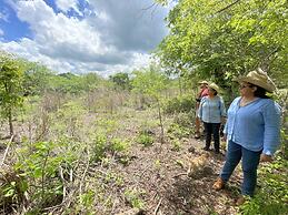 Casa Girasol Hospedaje y Tours