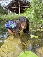 Casa Girasol Hospedaje y Tours