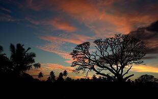 Serene Park Hotel By Ark