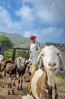 Maya Luxury J Wild Resort Jawai