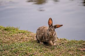 Celeiro Lake Village