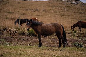 Celeiro Lake Village