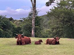 Celeiro Lake Village