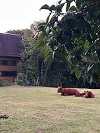 Celeiro Lake Village