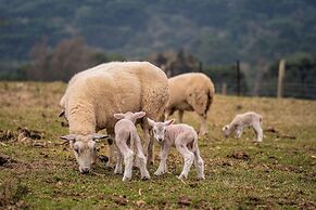 Celeiro Lake Village