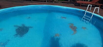 Hostel Caribbean Beach