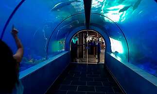 The Blue House Hostel - Santa Marta