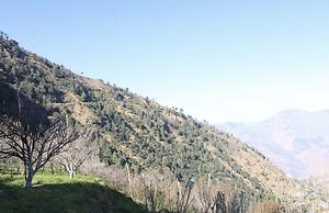 AJ Himalayan Homestay