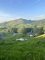 Remarkable 2-bed Safari Lodge in Llanidloes