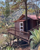 HOTEL LA CABAÑA DEL BOSQUE
