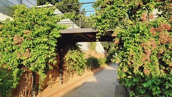 Nirvana Club Resort and Spa