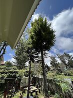 Le Hayat 4Bhk Pvt-Villa Kodaikanal TN