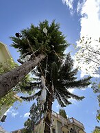 Le Hayat 4Bhk Pvt-Villa Kodaikanal TN