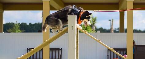 Burbank - Beautiful Designer Home Near Glenview Country Club