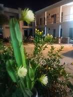 Hotel and Hostel 230