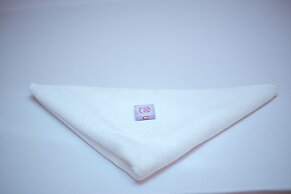 BEST POINT GROUP ZANZIBAR