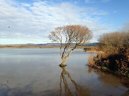 Kenfig Farm
