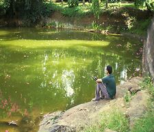 The Last Shola Cottages