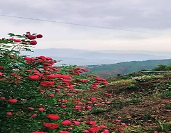 Kasana Club Mussoorie