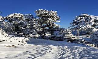 Kasana Club Mussoorie