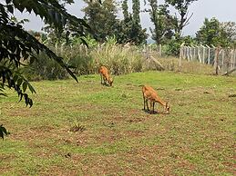 Cwmbale Eco-Tourist Lodge