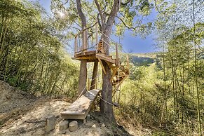 Grow Tree Glamping