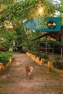 Hope Hostels, Varkala - Helipad