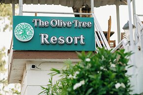 Olive Tree Resort
