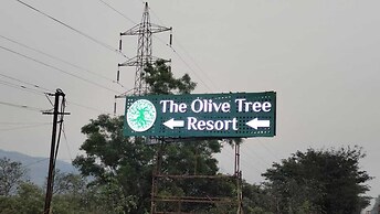 Olive Tree Resort