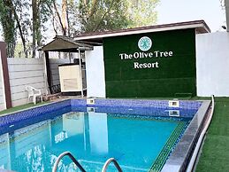Olive Tree Resort