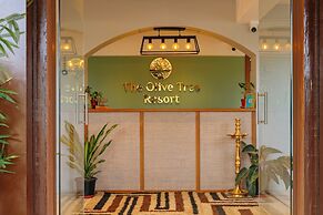 Olive Tree Resort