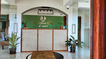 Olive Tree Resort