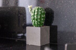 Appartement Luxueux à Draria