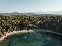 Trinity Design Suites