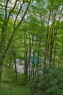 Swiss Mountain Village